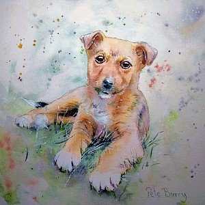 Carly's Puppy: Watercolour on 140lb cold pressed paper