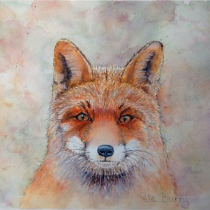 Fox: Watercolour on 140lb cold pressed paper