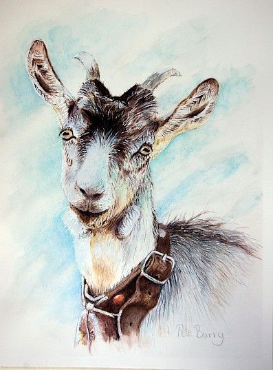 Mountain Goat: Watercolour on 140lb hot pressed paper