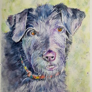 Holly: Watercolour on 140lb hot pressed paper