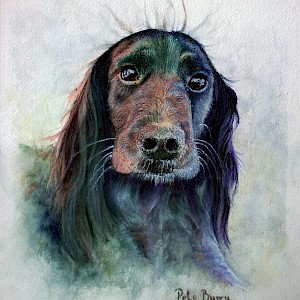 Nellie: Watercolour & acrylic on 140lb cold pressed paper