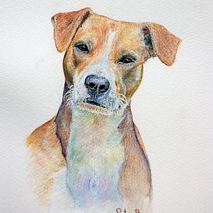 Penny: Watercolour on 140lb cold pressed paper