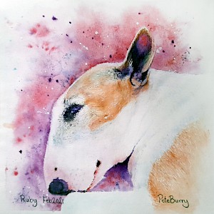 Ruby: Watercolour on 140lb hot pressed paper